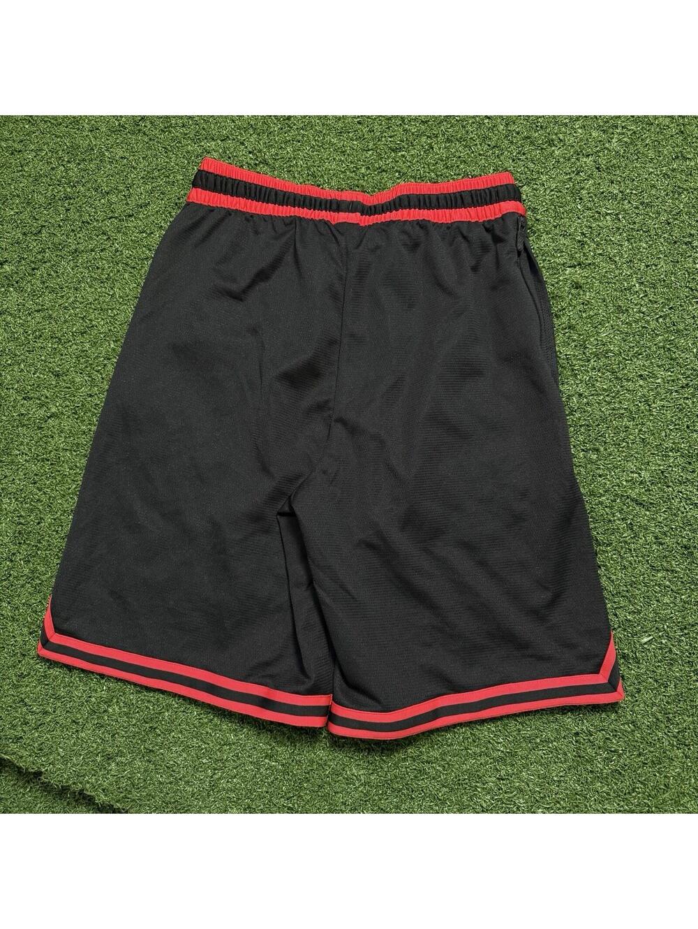 Nike X NBA Toronto Raptors Basketball Shorts Mens S Traning Unlined Zip Pockets - Picture 2 of 8